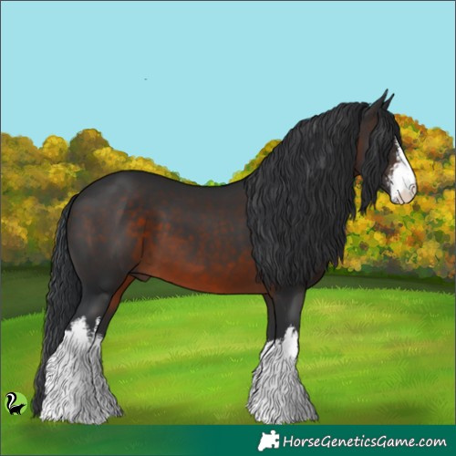 Horse Color:White Spotted Brown 