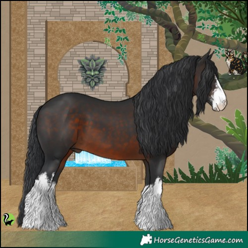 Horse Color:White Spotted Brown 
