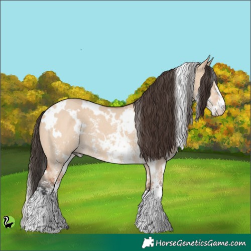 Horse Color:White Spotted Bay Dun Sabino 
