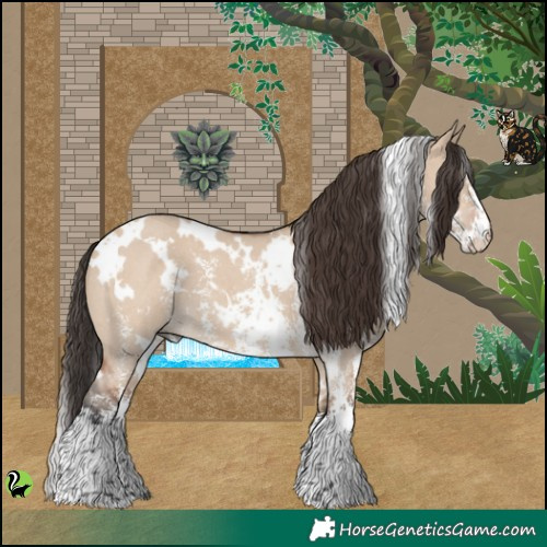 Horse Color:White Spotted Bay Dun Sabino 