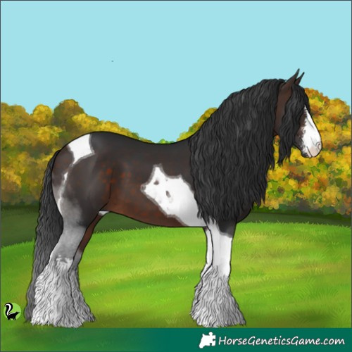 Horse Color:White Spotted Brown Tobiano 