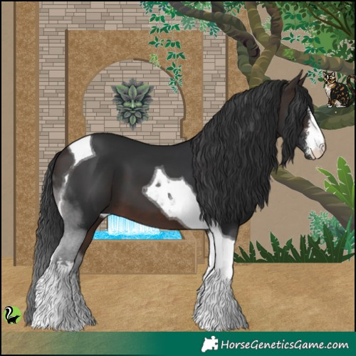 Horse Color:White Spotted Brown Tobiano 