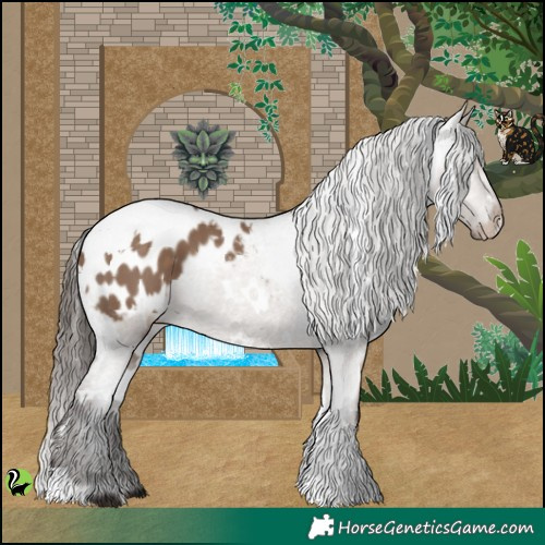 Horse Color:White Spotted Liver Red Dun Appaloosa 