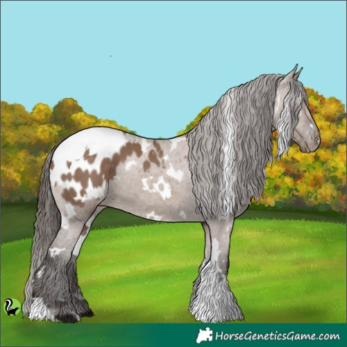 Horse Color:White Spotted Liver Red Dun Appaloosa 