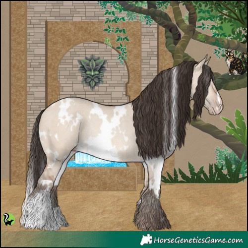 Horse Color:White Spotted Sable Champagne Dun Rabicano 
