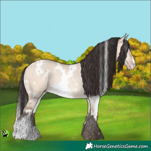 Horse Color:White Spotted Sable Champagne Dun Rabicano 