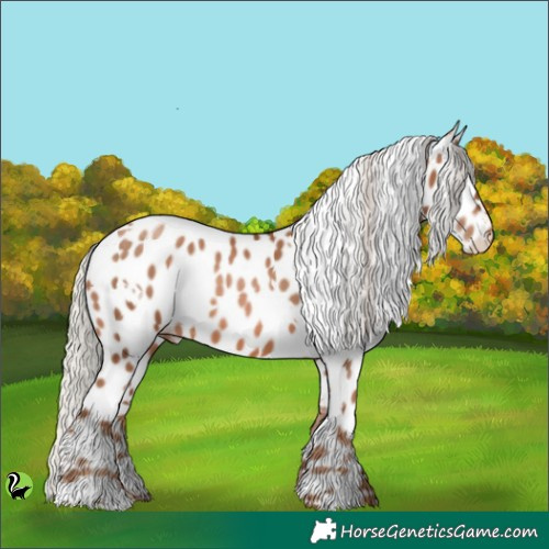 Horse Color:White Spotted Silver Brown Pearl Appaloosa 
