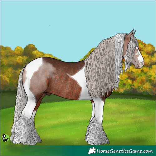 Horse Color:Silver Bay Tobiano Rabicano 