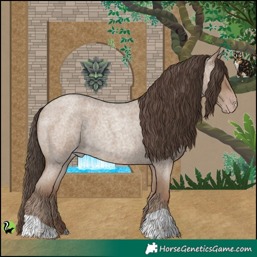 Horse Color:Classic Champagne Roan 