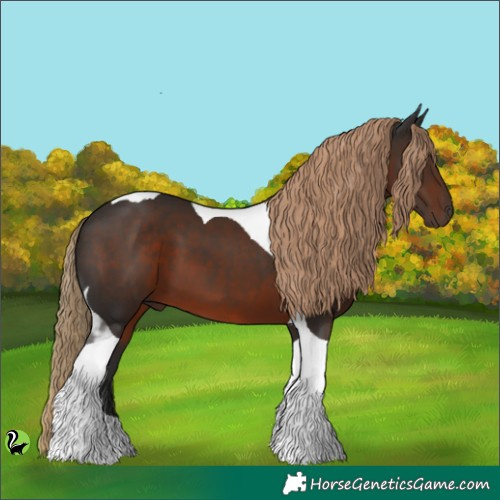Horse Color:Liver Chestnut Tobiano 
