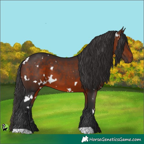Horse Color:White Spotted Brown 
