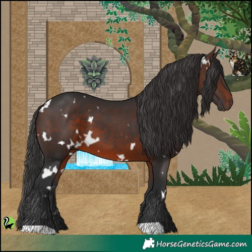 Horse Color:White Spotted Brown 