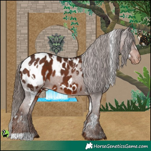 Horse Color:White Spotted Liver Chestnut Appaloosa 