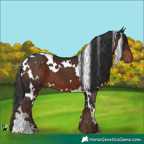 Horse Color:White Spotted Liver Chestnut 