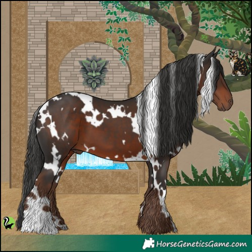 Horse Color:White Spotted Liver Chestnut 