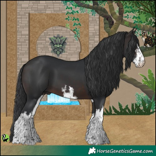 Horse Color:White Spotted Brown 