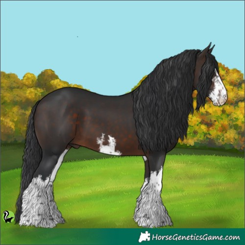 Horse Color:White Spotted Brown 
