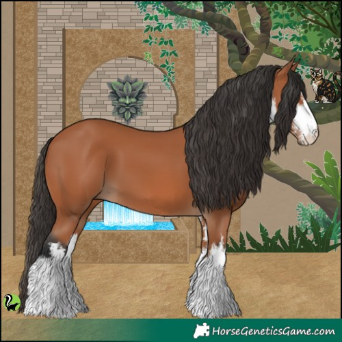 Horse Color:White Spotted Bay 