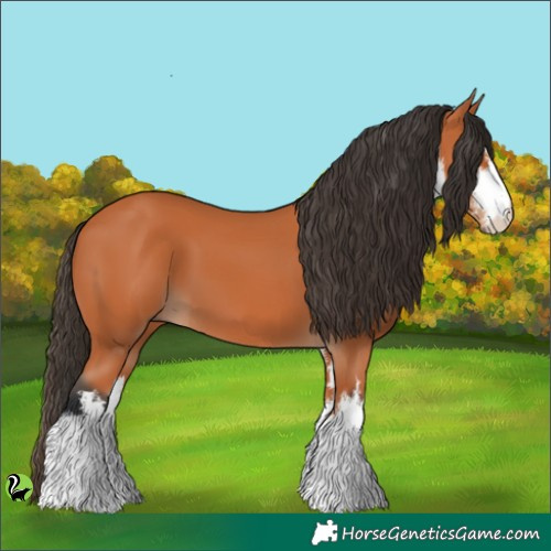 Horse Color:White Spotted Bay 