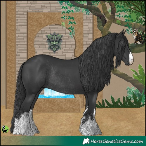 Horse Color:White Spotted Black Rabicano 