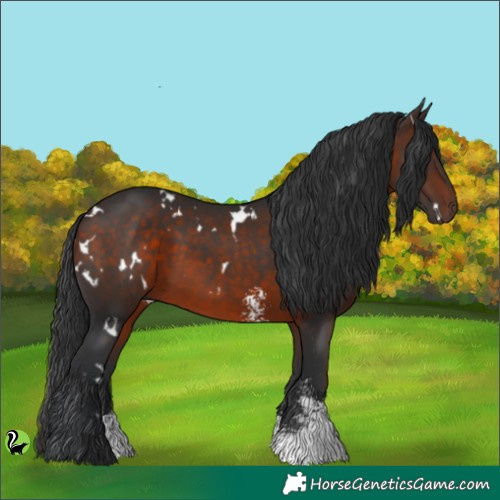 Horse Color:White Spotted Brown Sabino 