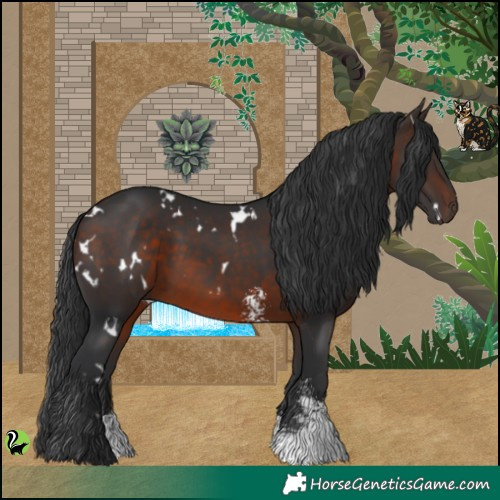 Horse Color:White Spotted Brown Sabino 