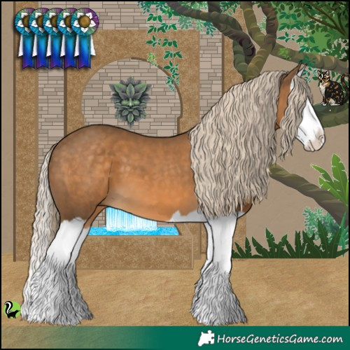 Horse Color:Chocolate Palomino Splash 