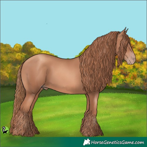 Horse Color:Gold Champagne 