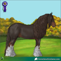 Horse Color:White Spotted Liver Chestnut