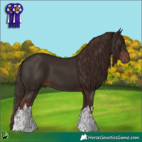 Horse Color:White Spotted Liver Chestnut 