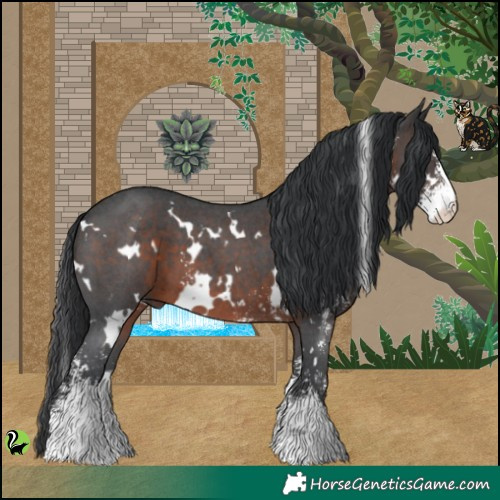 Horse Color:White Spotted Brown Sabino 