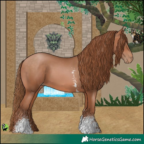 Horse Color:Brown Pearl Sabino 