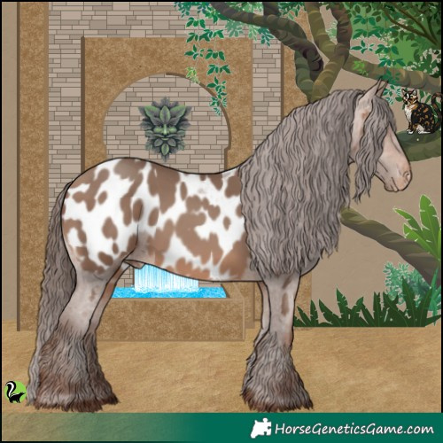 Horse Color:Sable Champagne Appaloosa 