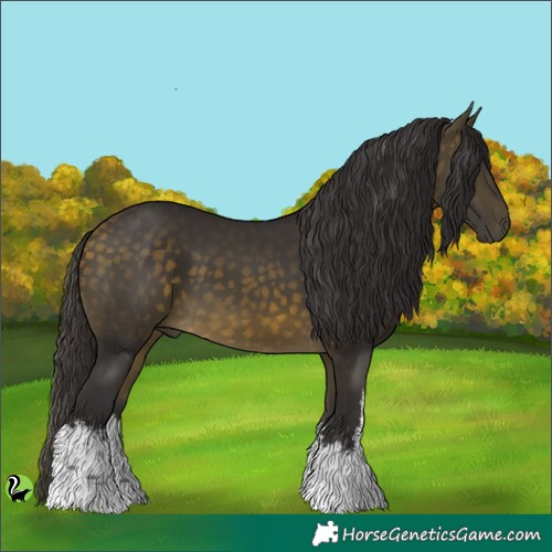 Horse Color:White Spotted Buckskin 