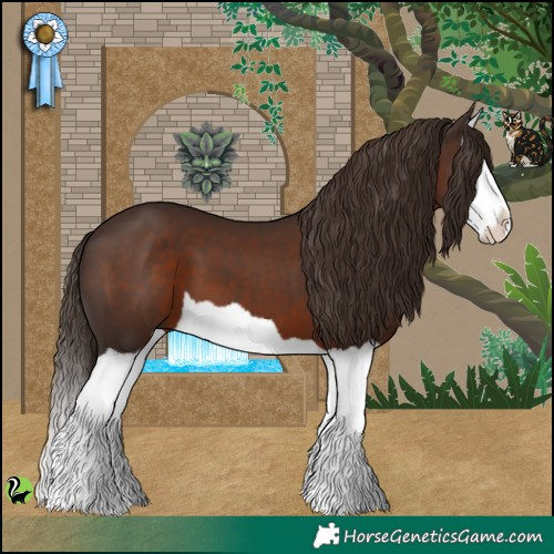 Horse Color:Liver Chestnut Splash 