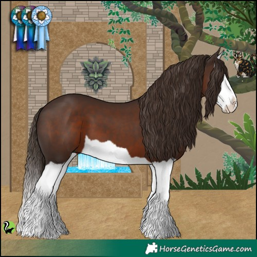 Horse Color:Liver Chestnut Splash 