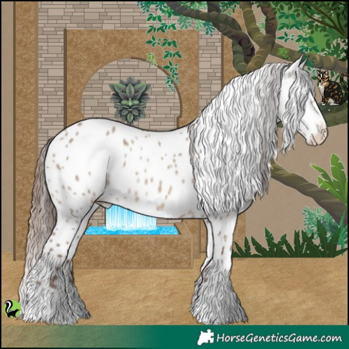 Horse Color:Sable Champagne Dun Appaloosa 