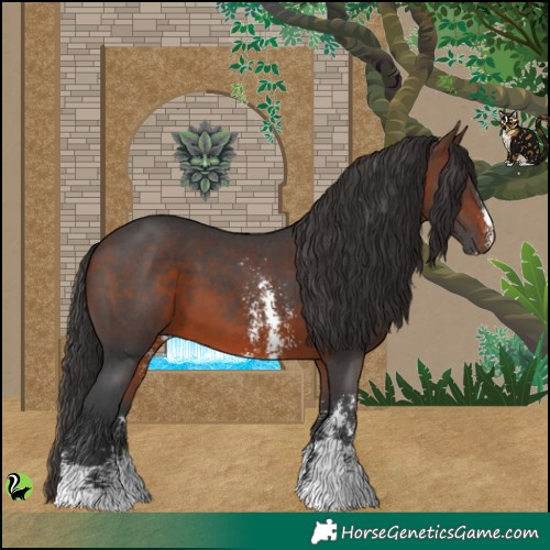 Horse Color:Brown Sabino 