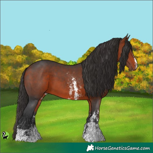 Horse Color:Brown Sabino 