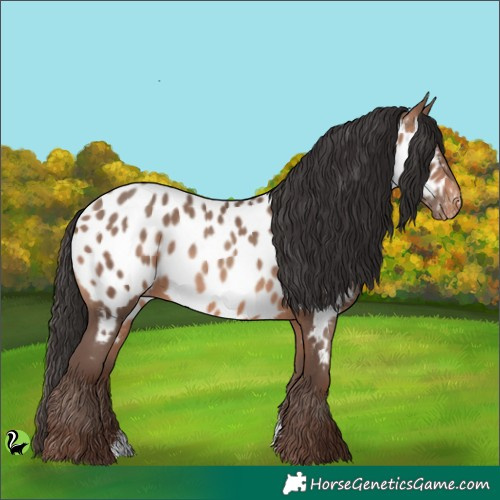 Horse Color:Sable Champagne Sabino Appaloosa 