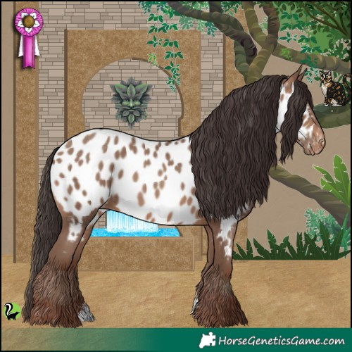 Horse Color:Sable Champagne Sabino Appaloosa 