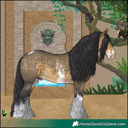 Horse Color:Buckskin Dun Sabino Tobiano 