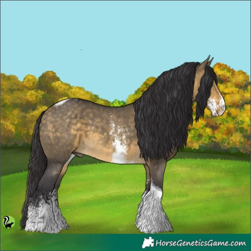 Horse Color:Buckskin Dun Sabino Tobiano 