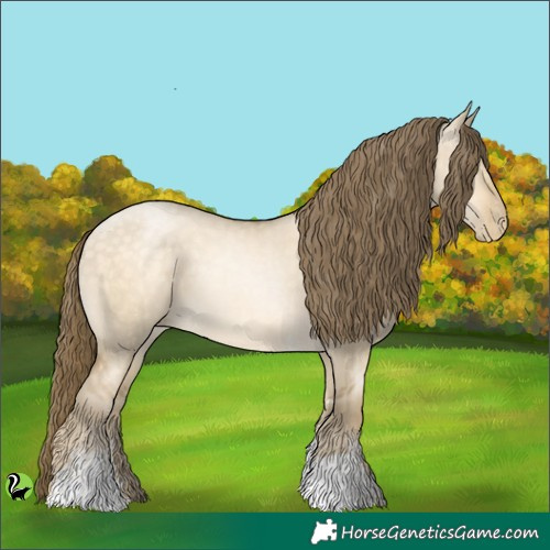 Horse Color:Buckskin Pearl Dun Sabino 
