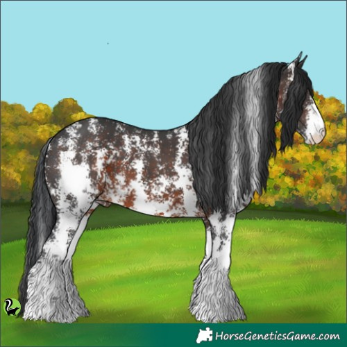 Horse Color:Brown Sabino 
