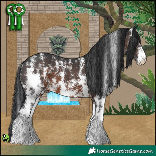 Horse Color:Brown Sabino 