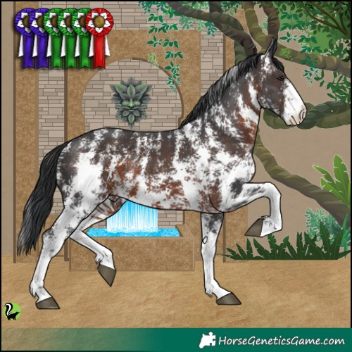 Horse Color:Brown Sabino 