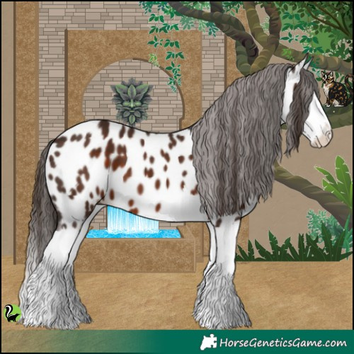 Horse Color:White Spotted Liver Chestnut Splash Appaloosa 