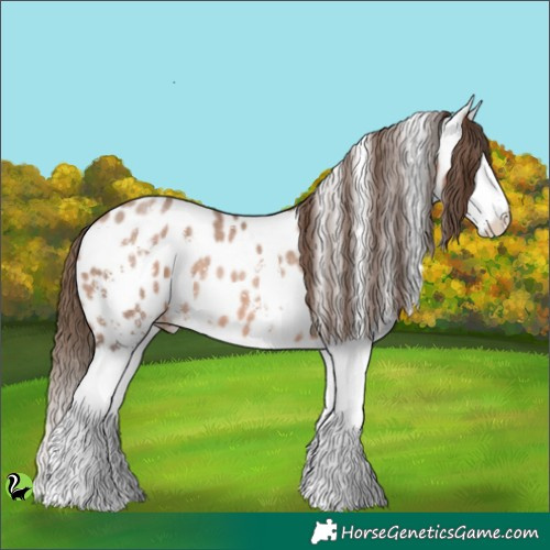 Horse Color:Brown Pearl Sabino Splash Appaloosa 