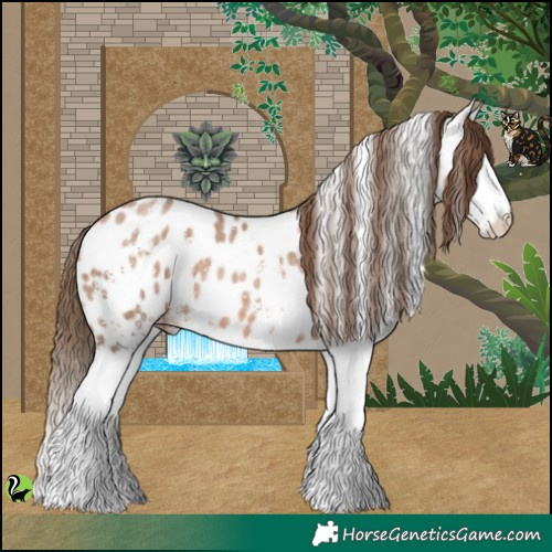Horse Color:Brown Pearl Sabino Splash Appaloosa 